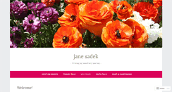 Desktop Screenshot of janesadek.com